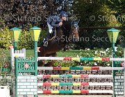 LUPINO Biricchina bella GioCav2013 S6 7560 : Biricchina bella, Campionati Italiani Giovani Cavalli, Cattolica, LUPINO NICO, ph Stefano Secchi ©